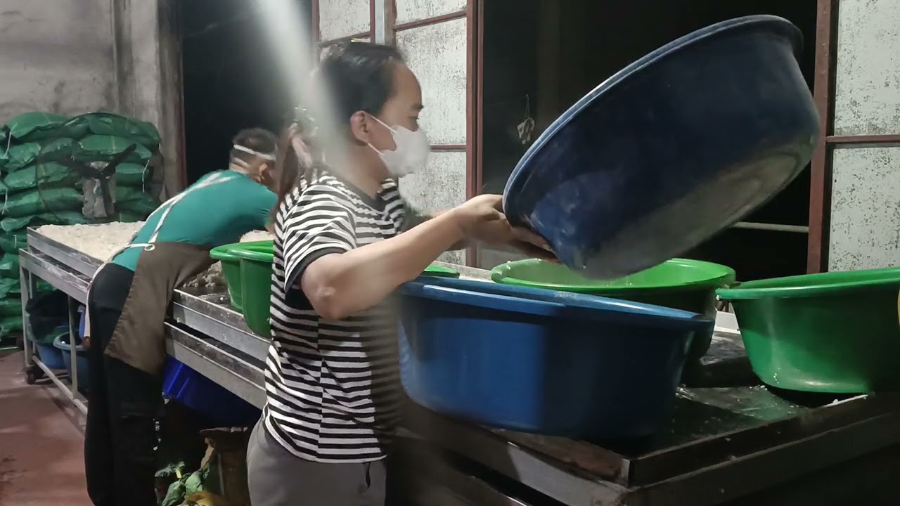 Inside Vietnam’s Traditional Rice Wine: The Yeast-Mixing Fermentation Step Explained