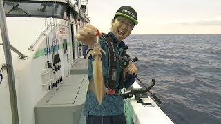 【いつでも釣り気分！】#279 福井県敦賀湾沖でのメタルスッテゲーム  タナを探り当て、釣果を伸ばす！