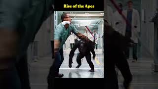 #hollywood #movies #movieclips #films #movielovers #shorts #shortvideo#fyp #foryou #foryoupage