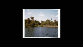 This Land Couldnt Be More Charming Check It Out