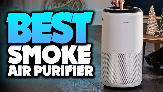 Purificateur d'air HEPA – Purificateurs d'air Dreamegg pour chambre à  coucher, allergies et animaux domestiques, filtre HEPA véritable 4 en 1 et