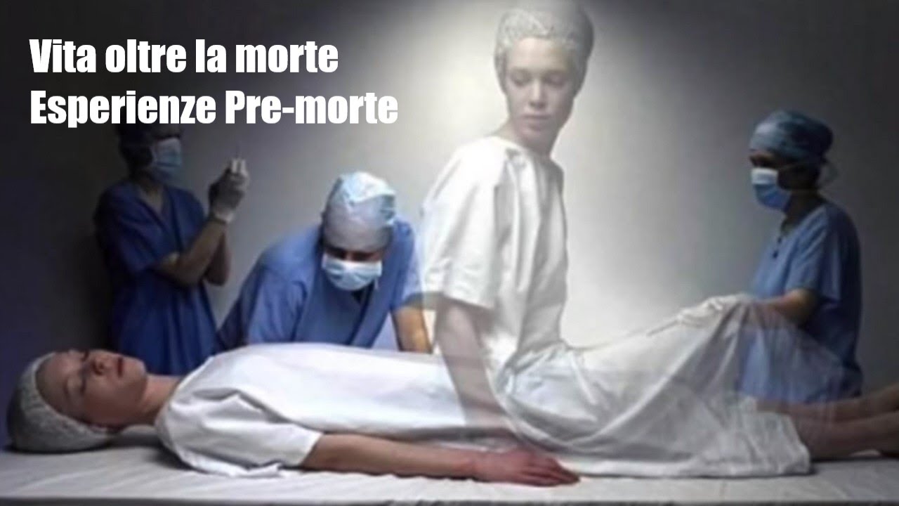 Lelio E Scipione Amici Oltre La Morte