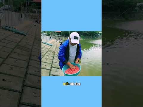 Câu Cá Mè Khủng Hồ Ná Luộc – Bí Kíp Chuyển Cần 6.3m Hiệu Quả! (3/4) #fishing #fish #carpfishing