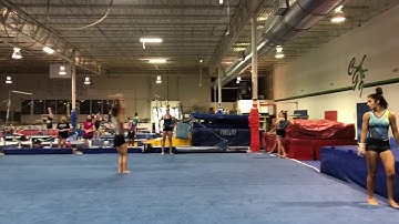 Elli Brownfield 2023 - FX Whip Half Front Layout