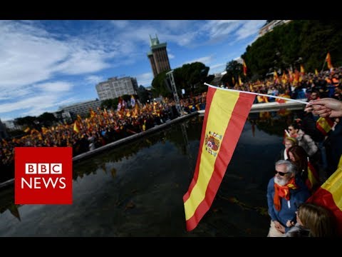 Vox: Who are Spain&rsquo;s far-right party? - BBC News