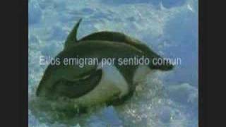 Fernando Gonzalez Comercial Tv