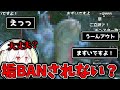 【MHRSB】完全にアウトなモノを映してしまい垢BANを警戒する抹茶【2022/7/1】