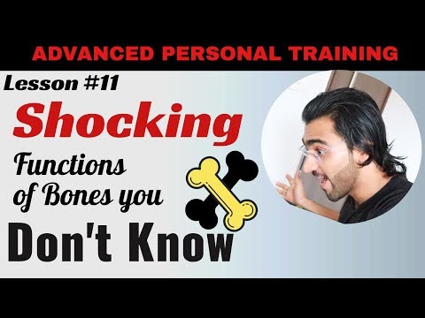 Functions of bones || फंक्शन्स ऑफ़  बोनस