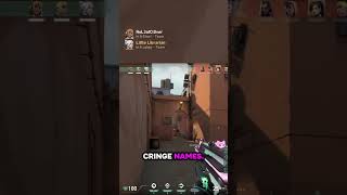 we all know these gamers #valorant #gaming #cringe #funny #valorantclips #valorantfunny #twitch