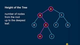 What is a Tree Data Structure | Tagalog Tutorial