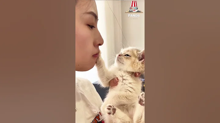 Watch the video about My little kitten really dislikes being kissed on the ears; it annoys him.😜😁#cat #kitten #pets #funny