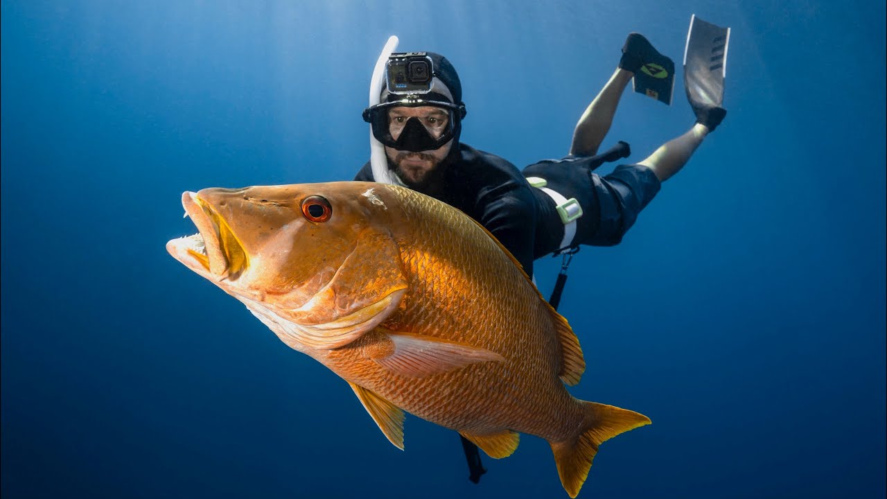 Ловля крупной рыбы копьём в ямах | Тортуга, день 3 | Чистый повар