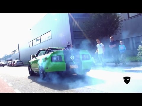 Ford Mustang (Shelby) GT's In ACTION! Smoking Tires, Accelerations & Exhaust SOUNDS!