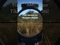 Springbok hunting on WOTH! #wayofthehunter #woth #hunting #gaming #shorts #cotw #thehunter