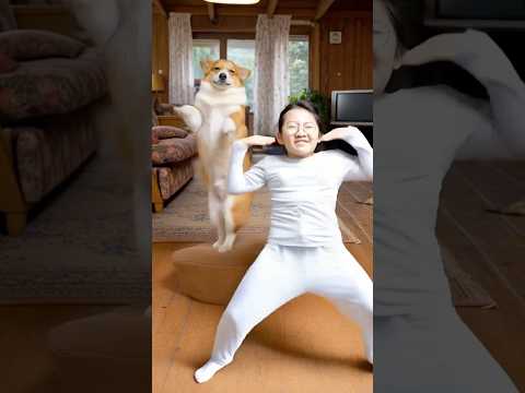댄스배틀 개VS인간 #corgi #랜덤플레이댄스 #랜플댄스 #aishorts #funny #댄싱 #웰시코기 #pets #cute #animalshorts