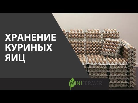 Хранение Куриных Яиц Часть 2. Как Проверить И Хранить Яйца