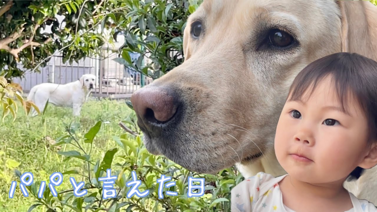 ついにパパと言えた 長女ゴン 次女サン 三女ユウ