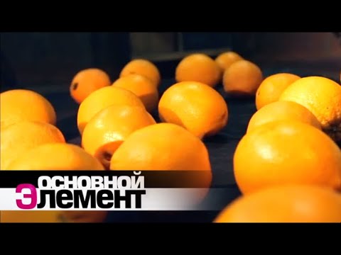 Video: NLP Nad Kirgizijo - Alternativni Pogled