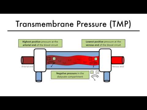 Hemodialysis Kinetics 101 05 Transmembrane Pressure