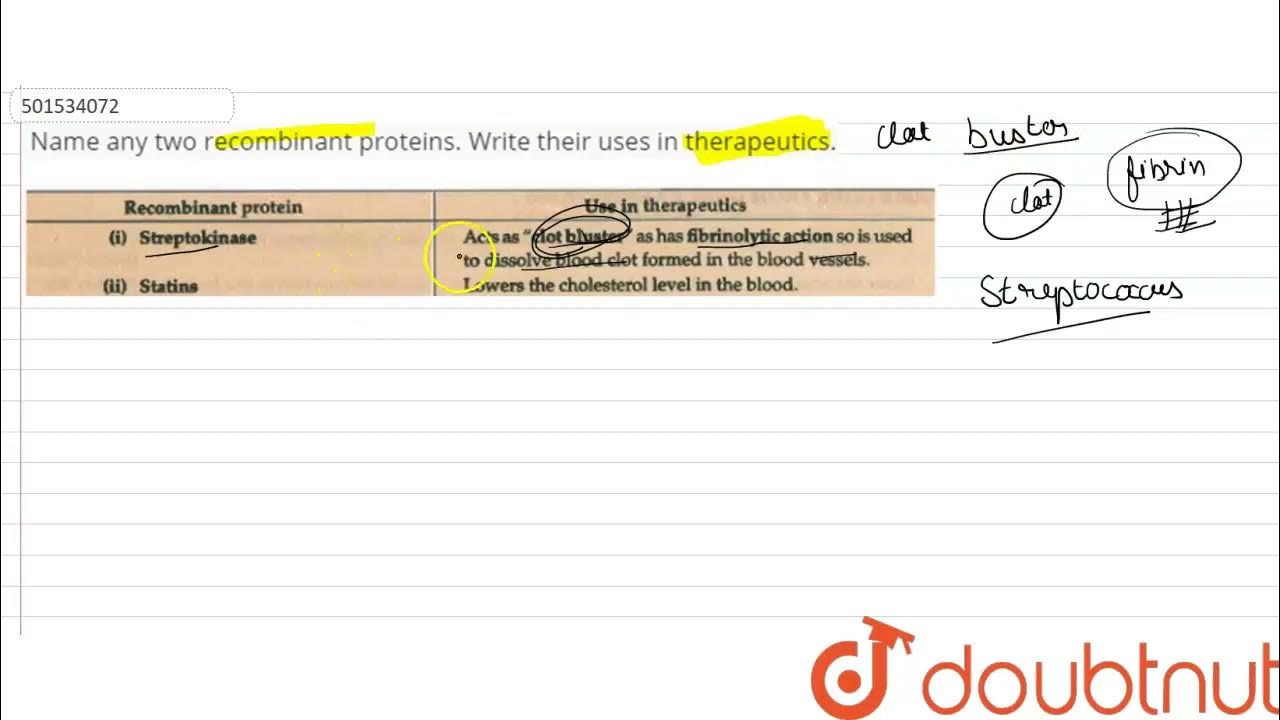 Name any two proteins. Write their uses in therapeutics