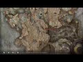 Elden Ring King of Skyrim Burning Sealing Tree in Shadow Realm
