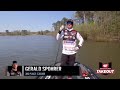 Mlf now live stream from sam rayburn