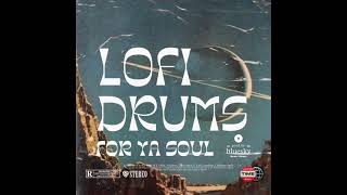 90s Vintage Sdanles  J Dilla X J Cole Drum Loops