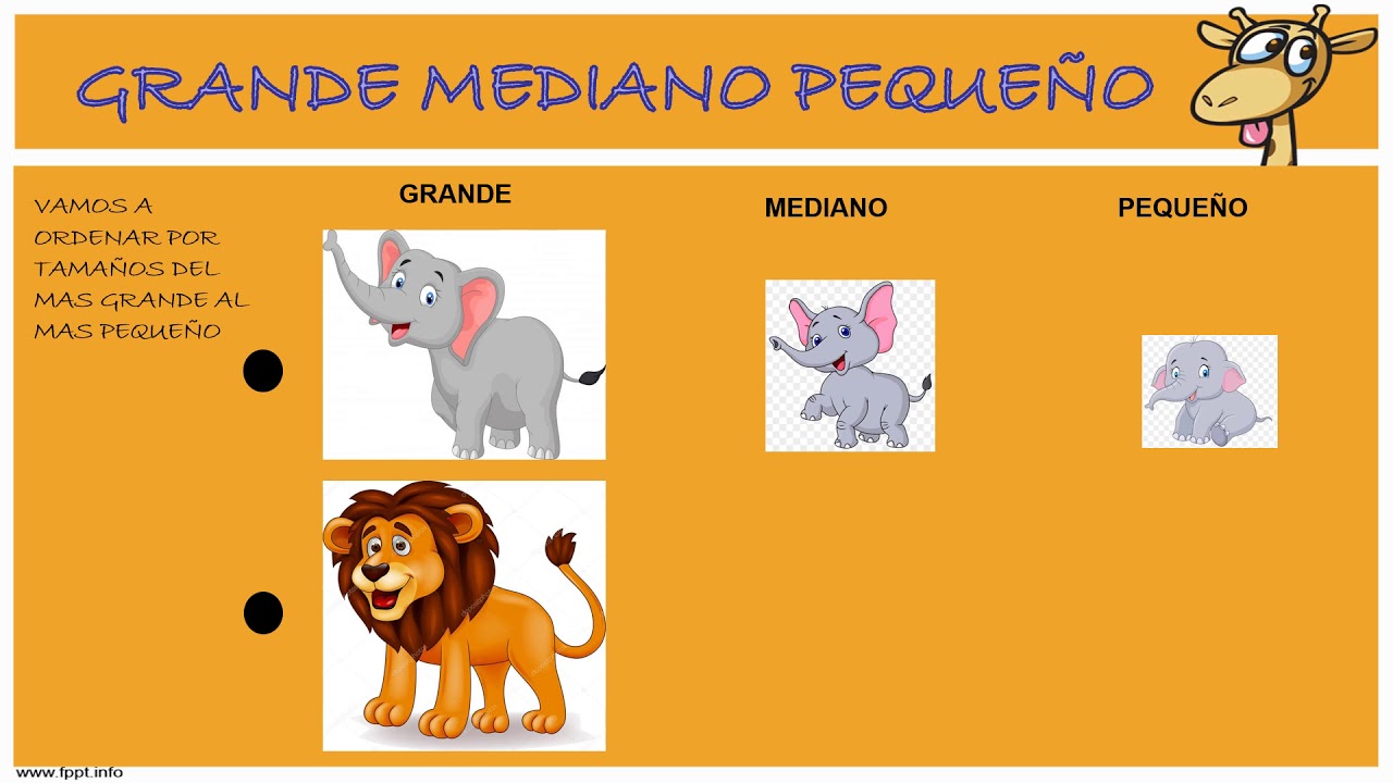 TAMAÑOS GRANDE MEDIANO PEQUEÑO - YouTube