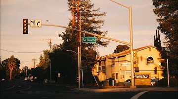 RICK THE SHEEP - CMS (OFFICIAL MUSIC VIDEO)