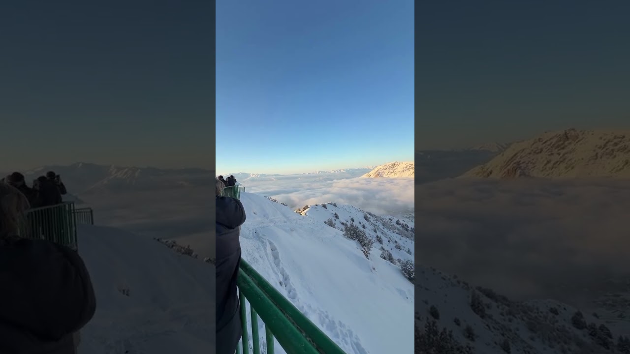 Abdullajon shakarsan shakar, Kichkina tabib.  