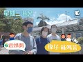 25/8 《星期三港案》君如問，偉仔蘇媽答