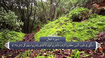 آیات صحابه در قران - سوره انفال آیه 12