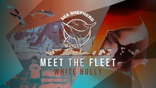 MEET THE FLEET - White Holly