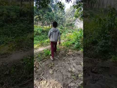 viral video😂😂😂Ha Ha Vadio🤣🤣🤣