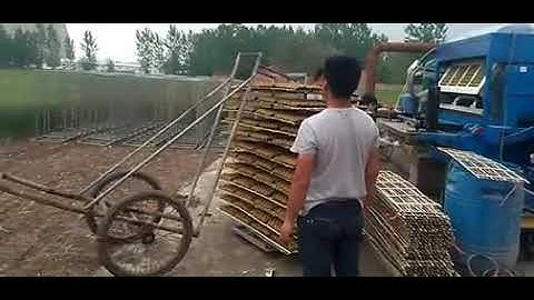 4*4 Full complete egg tray Machine Natural sun drying system