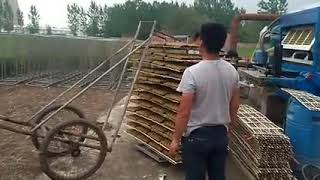4*4 Full complete egg tray Machine Natural sun drying system