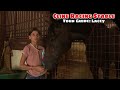 CLINE RACING STABLE TOUR