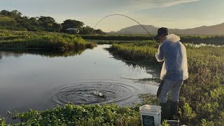 Do Valão Para Cava Da Areia, Só Trairotas, Levavam Com Tudo, Pescaria