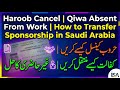 Haroob Cancel | Qiwa Absent From Work | How to Transfer Sponsorship in Saudi Arabia | Urdu , Hindi