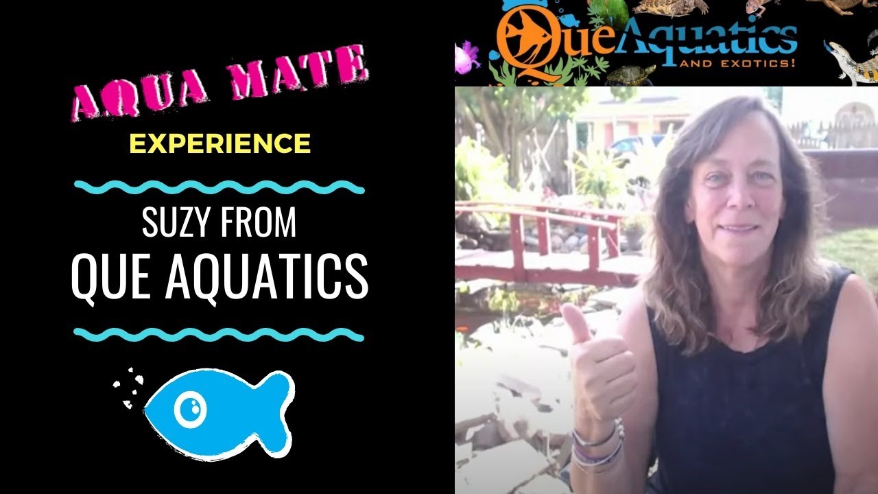 Aqua Mate Experience, Episode 12, Suzy from Que Aquatics