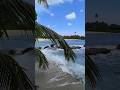 NiCoBar Islands Beach 🌴🏝️😍 if you Can must visit these beaches ❤️❤️#trending youtubeshorts #trending