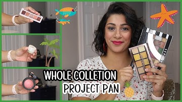 Whole Collection Project Pan UPDATE #7 | PLAYING CATCH UP PER USUAL