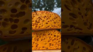 Proses Rumit Pembuatan Keju Paling Lezat Di Dunia