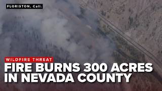 Details #BREAKING: Wildfire burns 300 acres, is 5% contained in Floriston, California Update