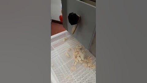 Gnocchi Machine model  IGNOC-180 by ITALIANA FoodTech