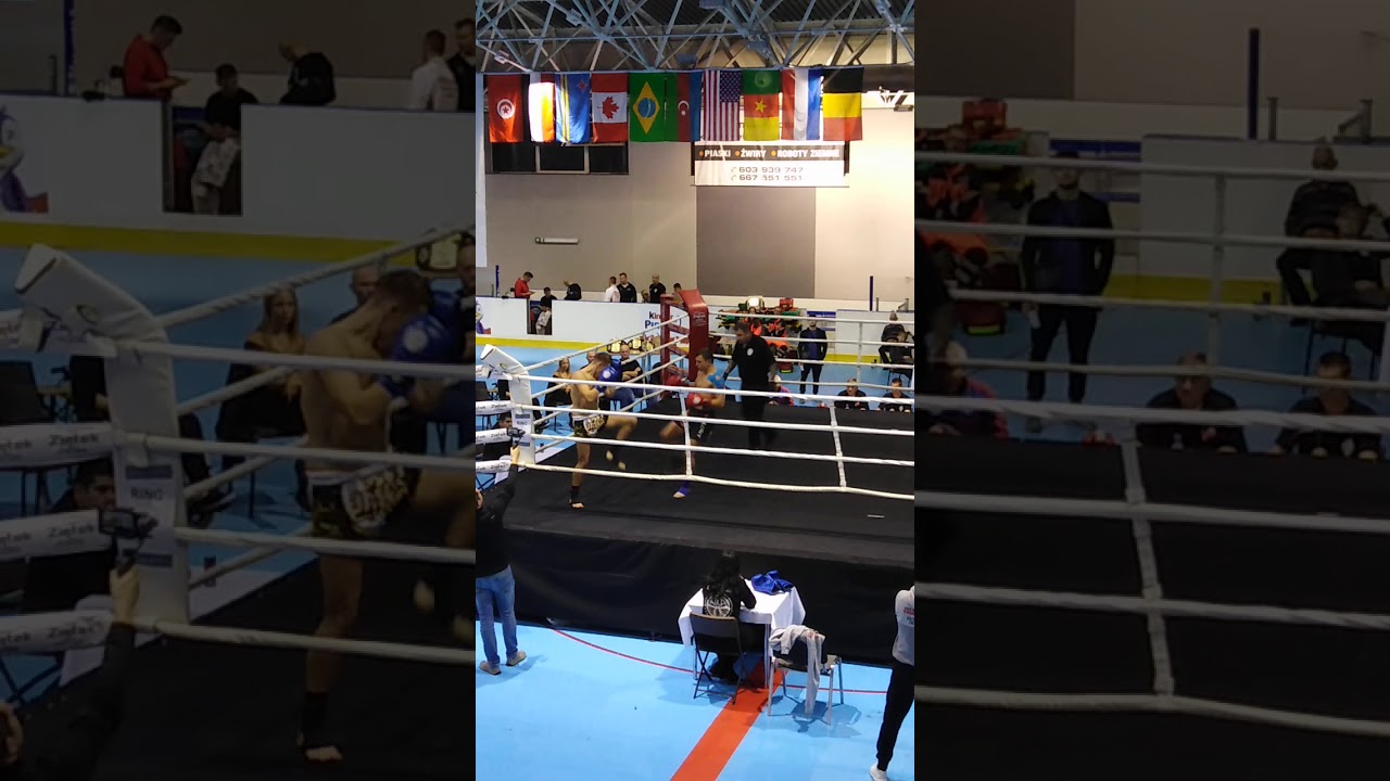 Rusia vs Polonia Mundial WKA 2019