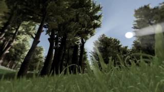 Unity 5 Forrest Tech Demo by BJP
