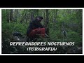 ✴️ Fotografía con barrera: DEPREDADORES NOCTURNOS 📸