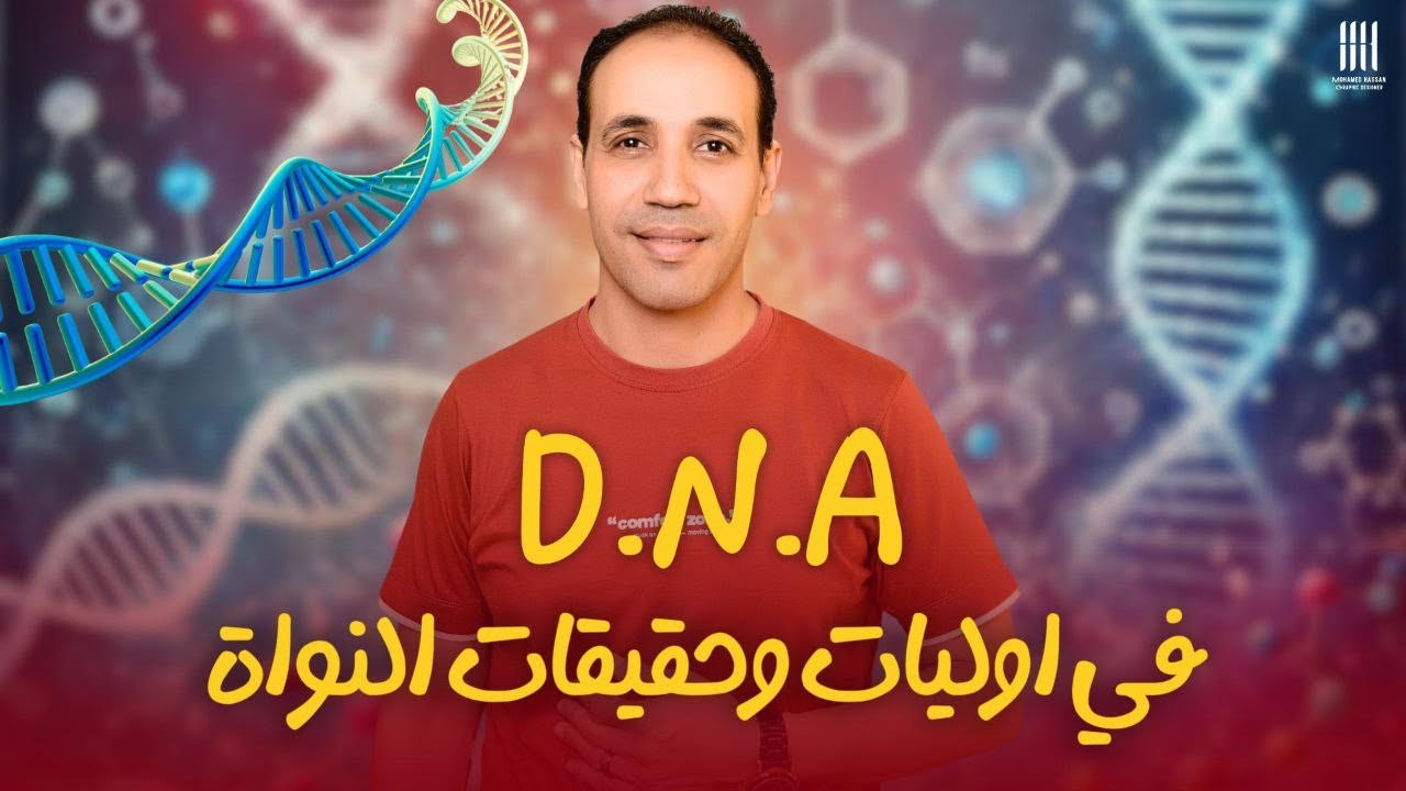 DNA في أوليات النواة وحقيقيات النواة. ثانوية عامة ٢٠٢٦