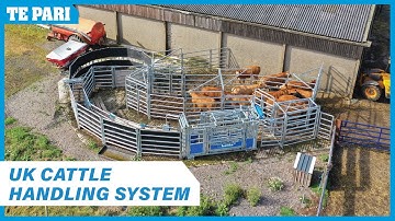Custom Cattle Handling System Walkthrough